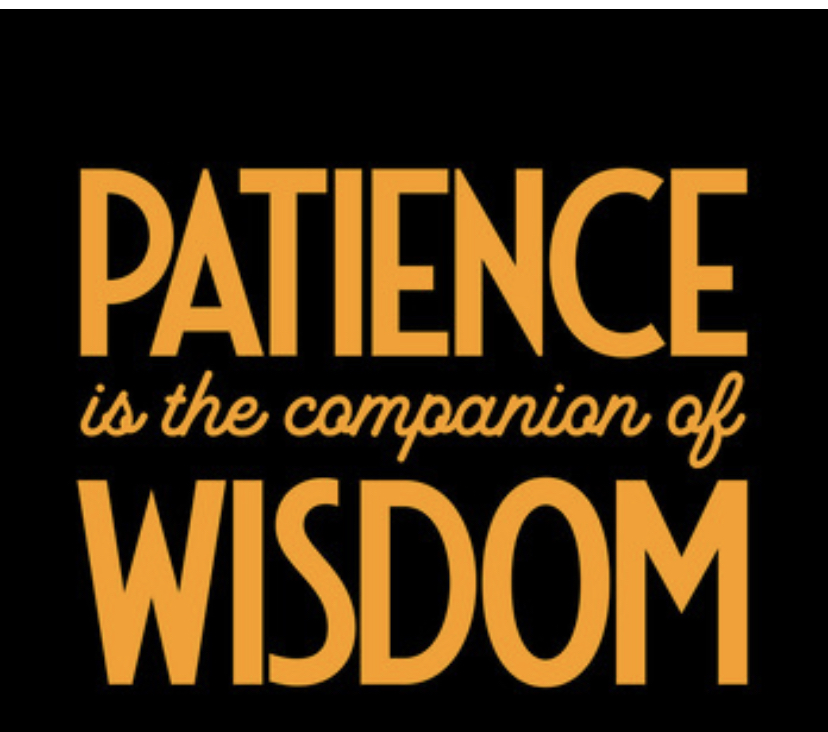 Read more about the article Patience As a Bedrock to Success